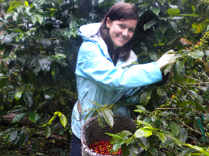 Coffee Cooperative